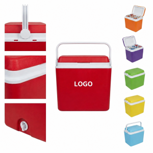 Hard-Sided 5L Thermal Insulated Cooler with Integrated Carry Handle